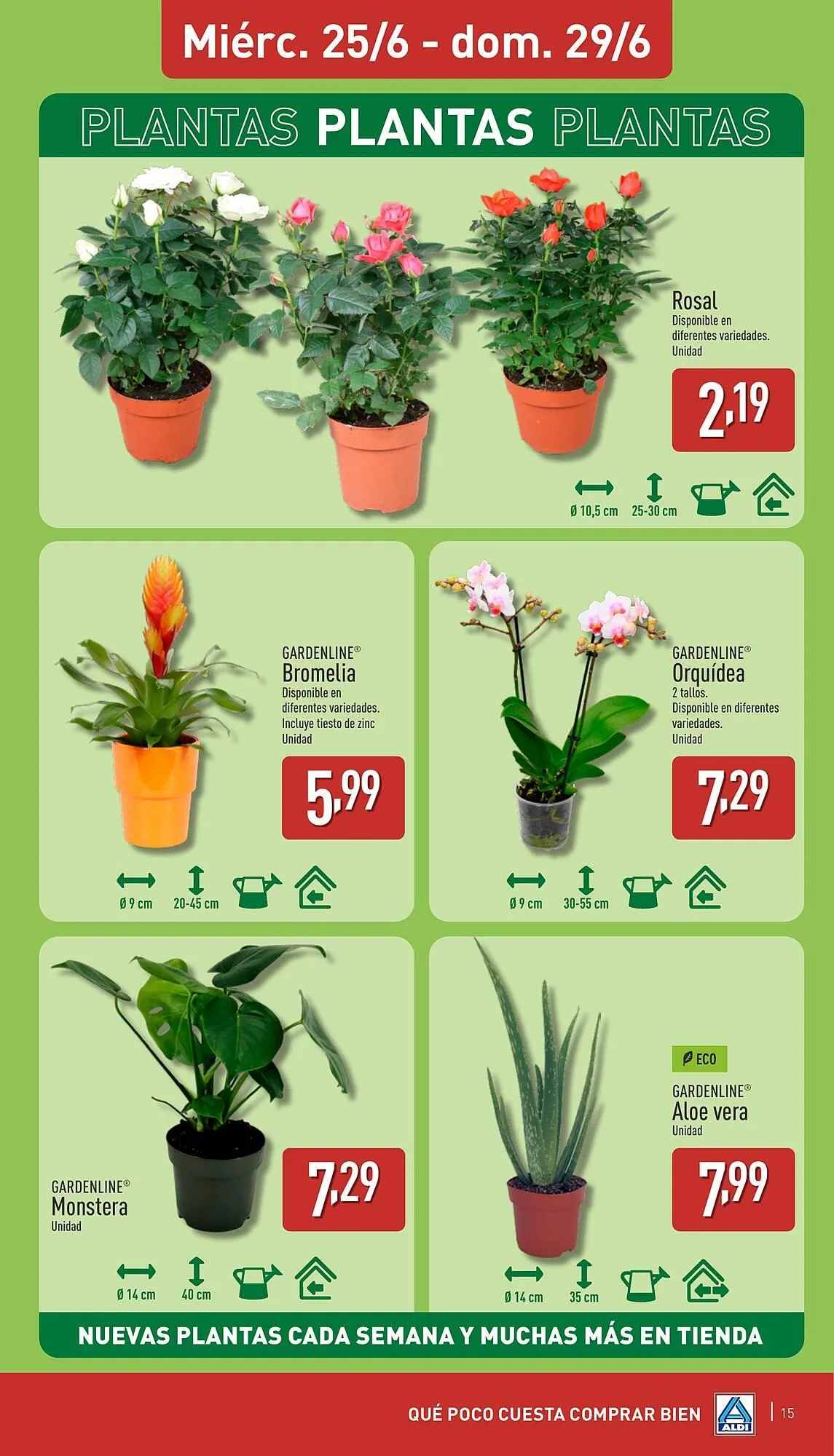 Catálogo de Folleto ALDI 23 de junio al 29 de junio 2025 - Página 15