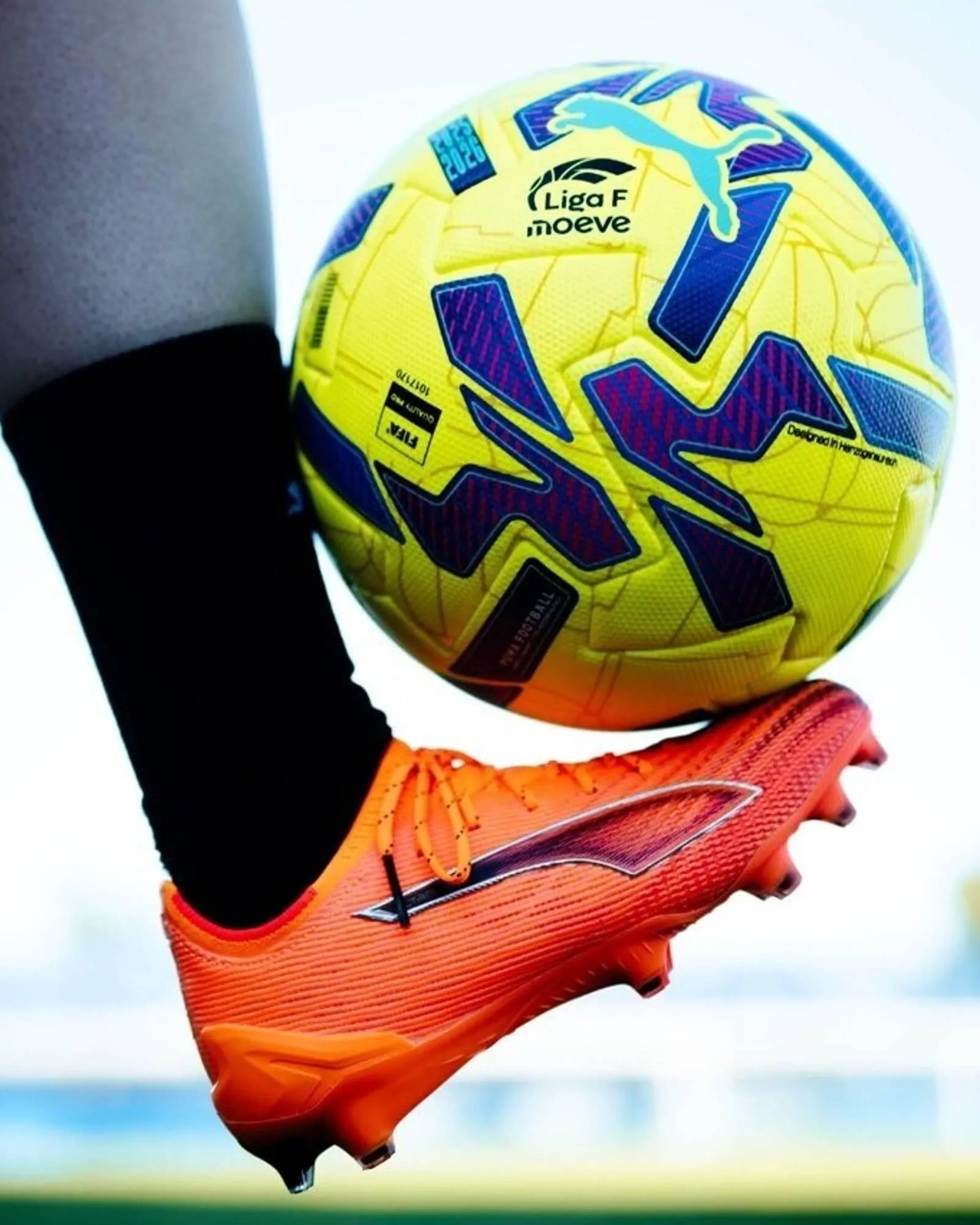 Catálogo de Catálogo Deportes Blanes 11 de noviembre al 10 de enero 2026 - Página 3