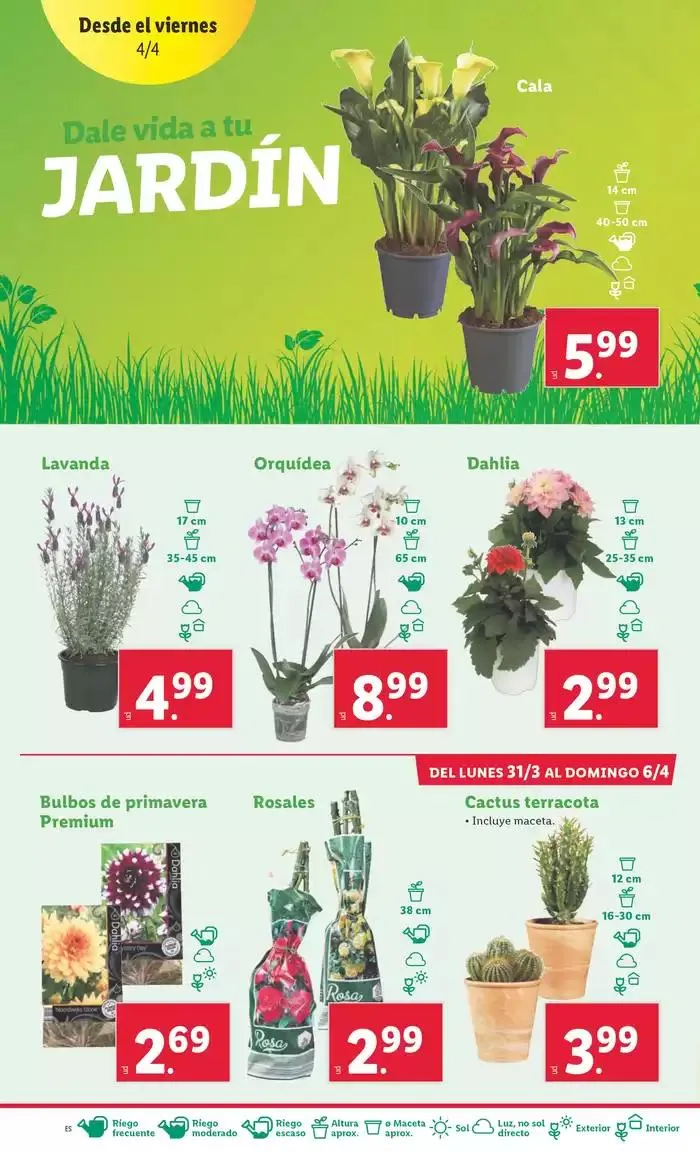 Catálogo de ¡Bazar Lidl! Ofertas válidas del 31/03 al 06/04 31 de marzo al 6 de abril 2025 - Página 16