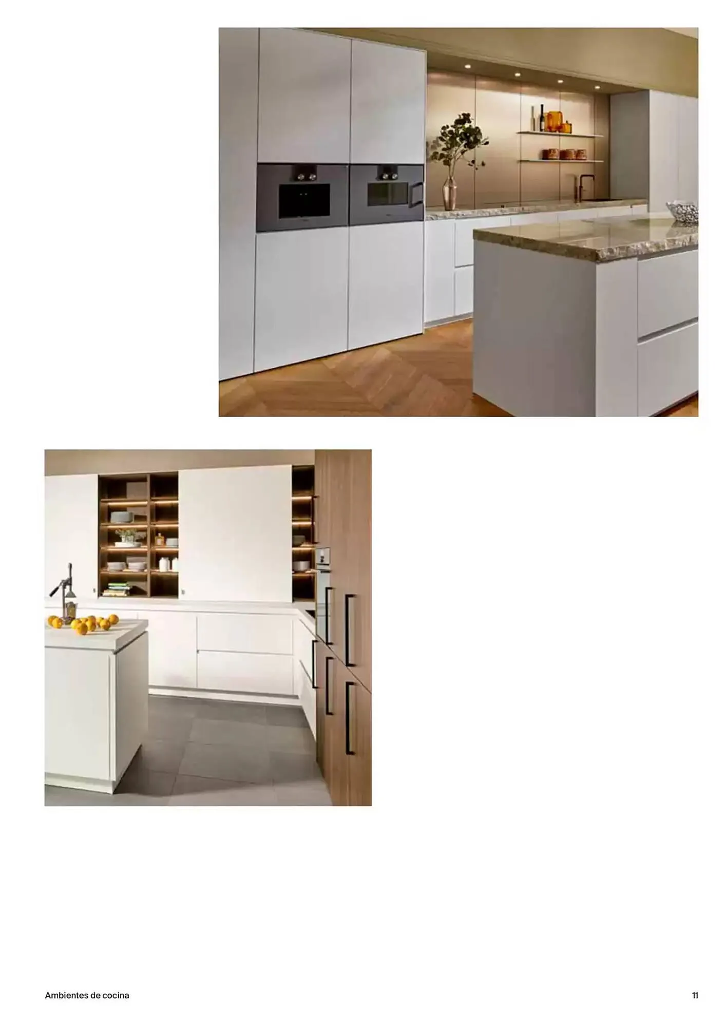 Catálogo de Folleto Roca 9 de enero al 31 de diciembre 2025 - Página 11