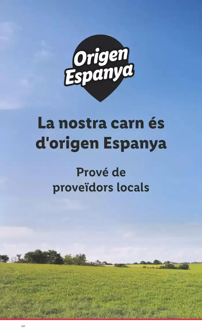 Catálogo de ¡Bazar Lidl! Ofertas válidas del 19/05 al 25/05 19 de mayo al 25 de mayo 2025 - Página 55