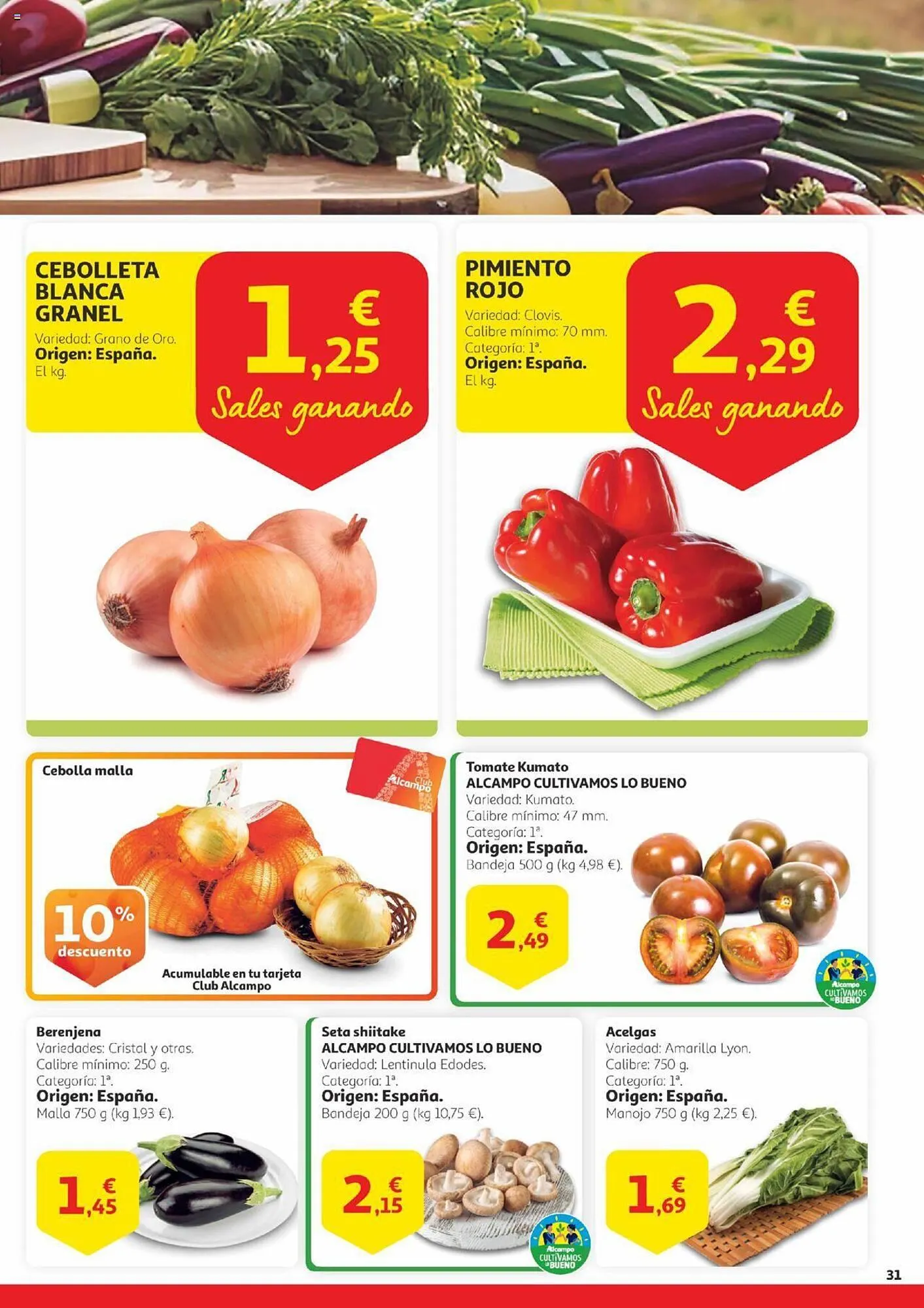 Catálogo de Folleto Alcampo 26 de septiembre al 9 de octubre 2024 - Página 31