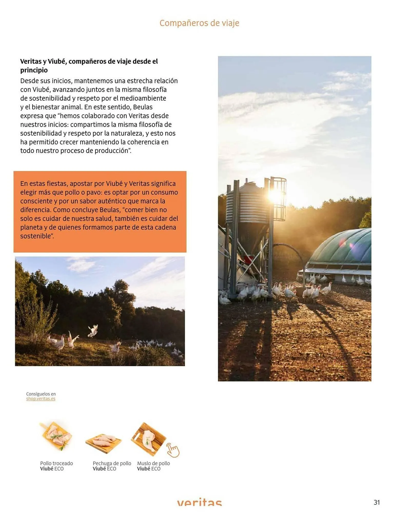 Catálogo de Catálogo Veritas 1 de diciembre al 31 de diciembre 2025 - Página 31