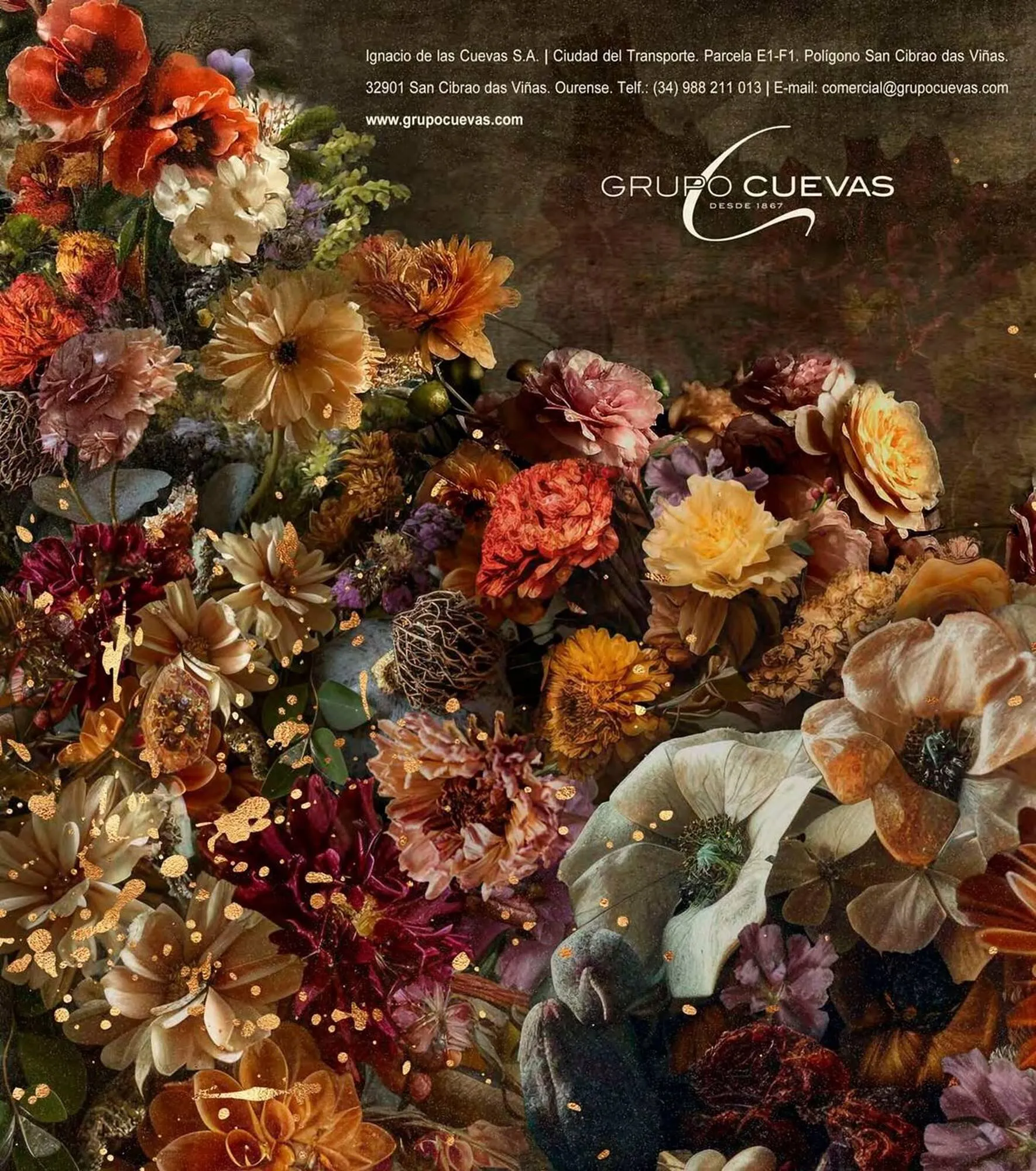 Catálogo de Folleto Plenus Supermercados 7 de octubre al 31 de diciembre 2025 - Página 28