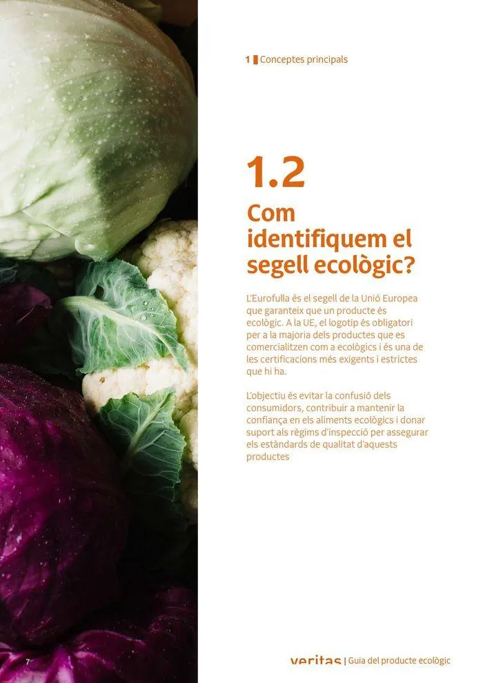 Catálogo de Veritas ABC productes ecològics 2 de septiembre al 31 de diciembre 2024 - Página 7
