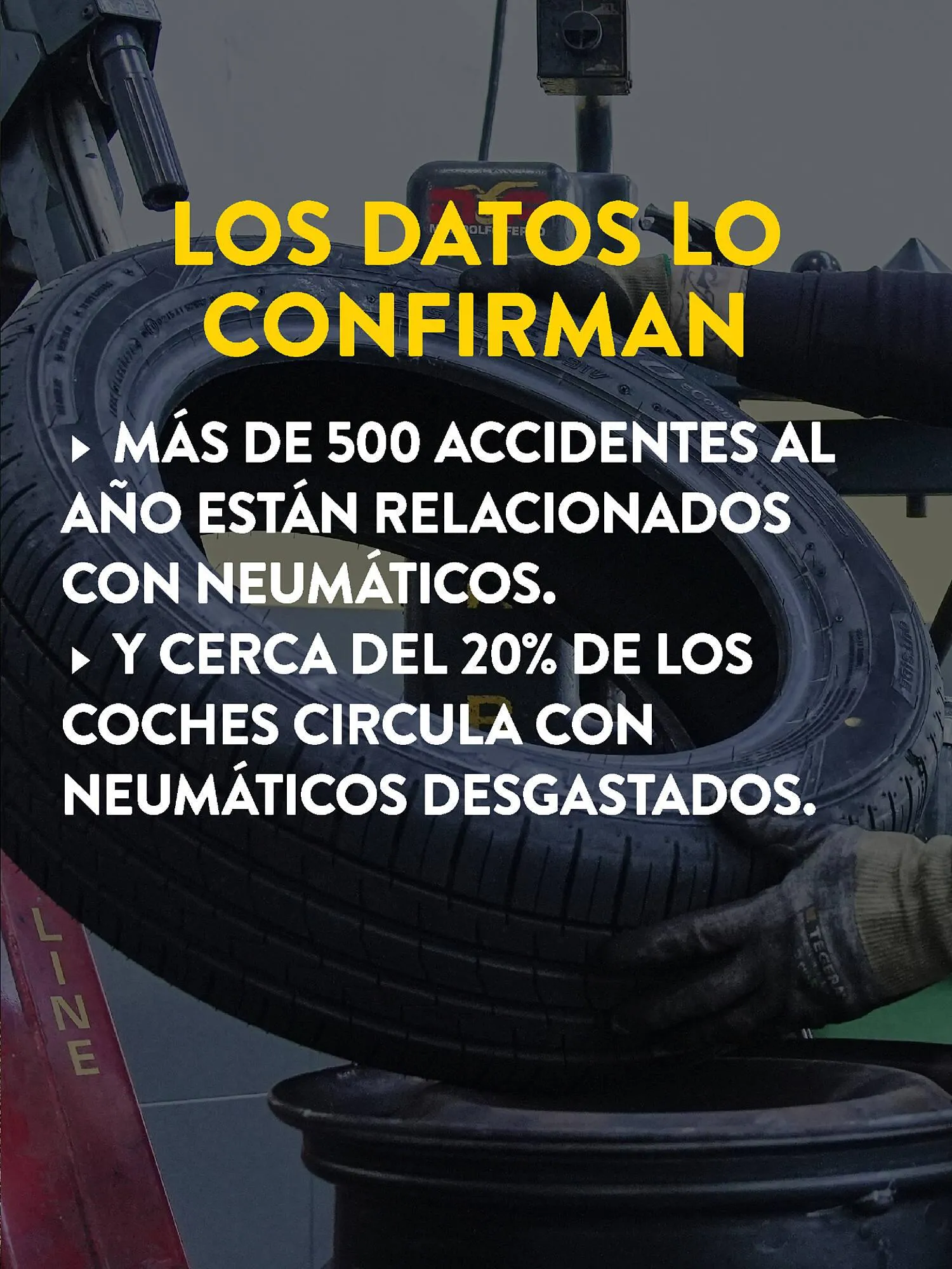 Catálogo de Folleto Rodi 9 de abril al 6 de junio 2026 - Página 5