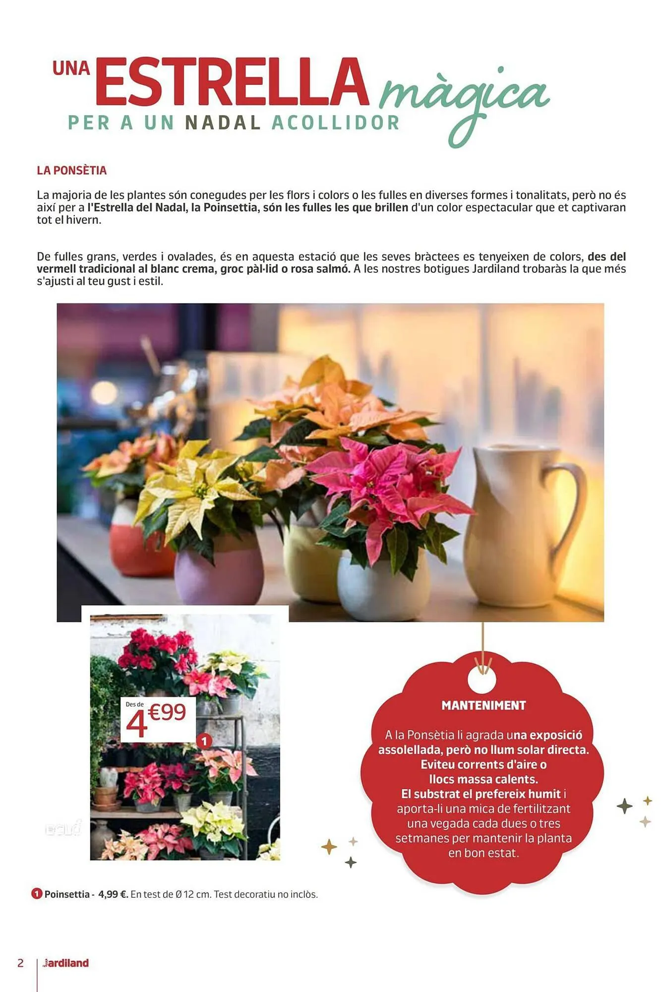Catálogo de Folleto Jardiland 16 de noviembre al 24 de diciembre 2023 - Página 2
