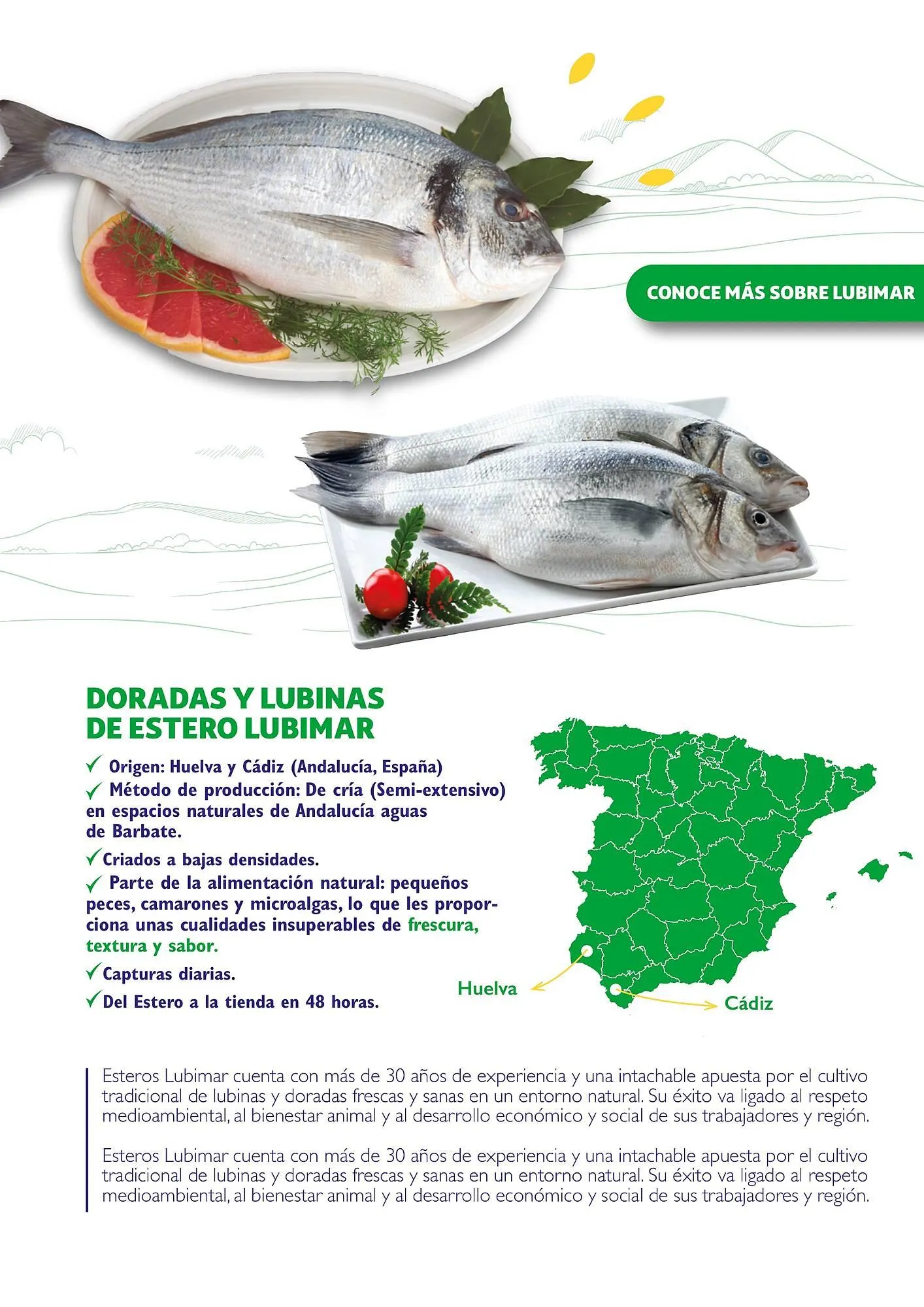 Catálogo de Folleto Alcampo 23 de abril al 31 de diciembre 2025 - Página 46