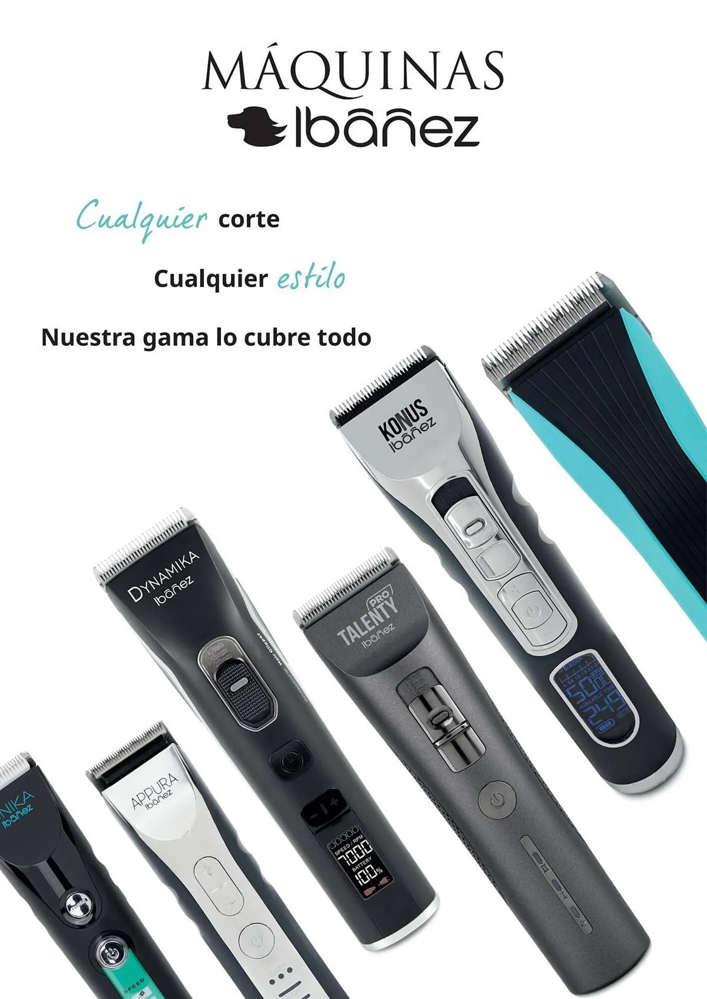 Catálogo de Folleto Setter Bakio 13 de junio al 31 de diciembre 2026 - Página 36