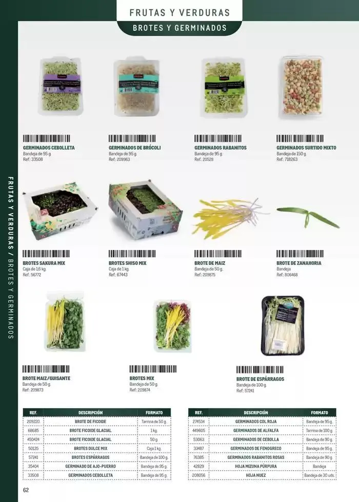 Catálogo de Especia Carta Canarias 8 de abril al 31 de diciembre 2025 - Página 62