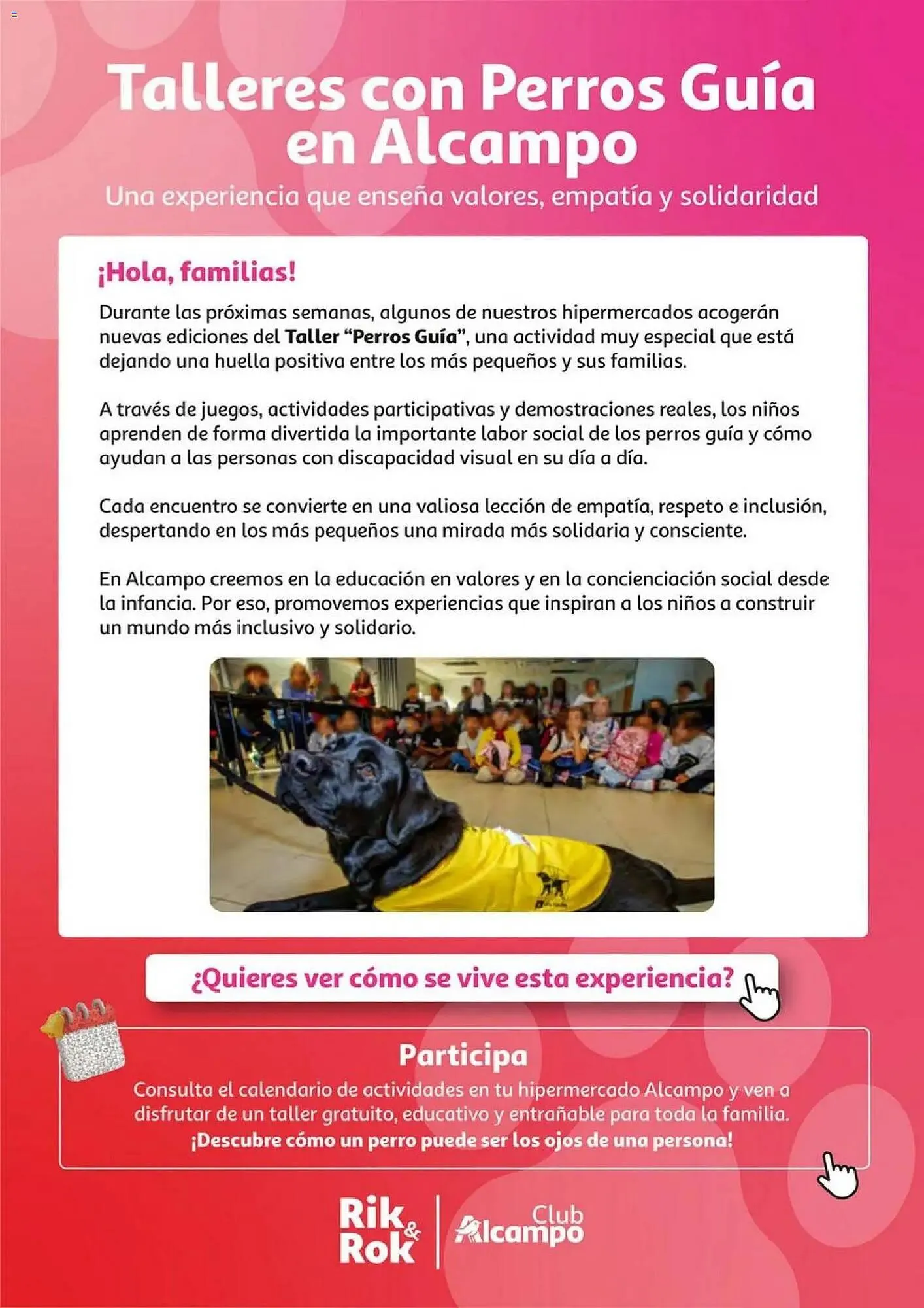 Catálogo de Folleto Alcampo 6 de noviembre al 19 de noviembre 2025 - Página 14