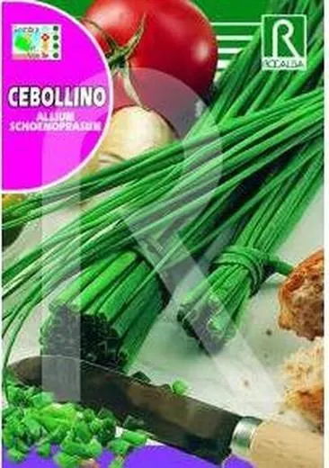 Cebollino Allium schoenoprasum 2g