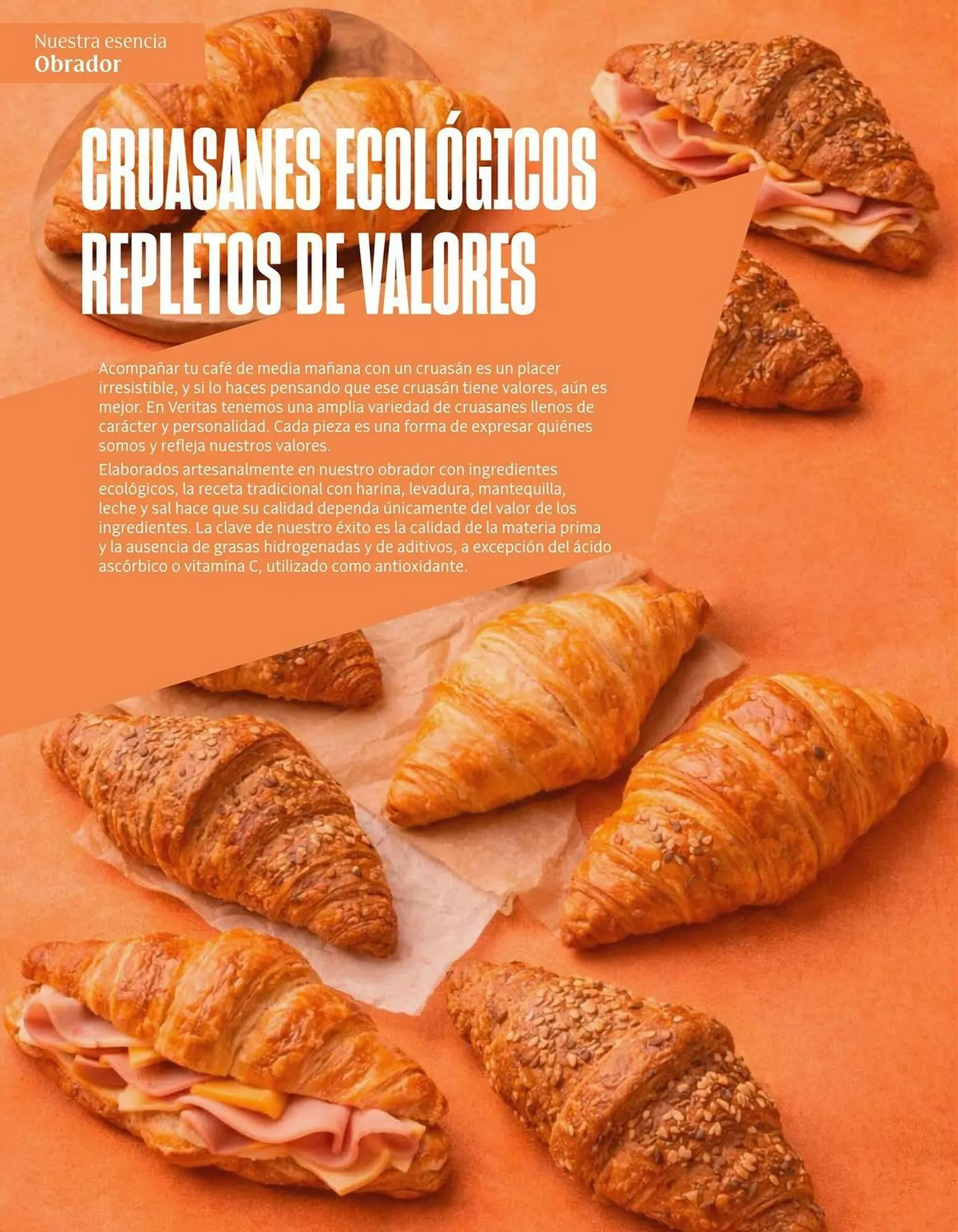 Catálogo de Catálogo Veritas 2 de febrero al 28 de febrero 2026 - Página 44