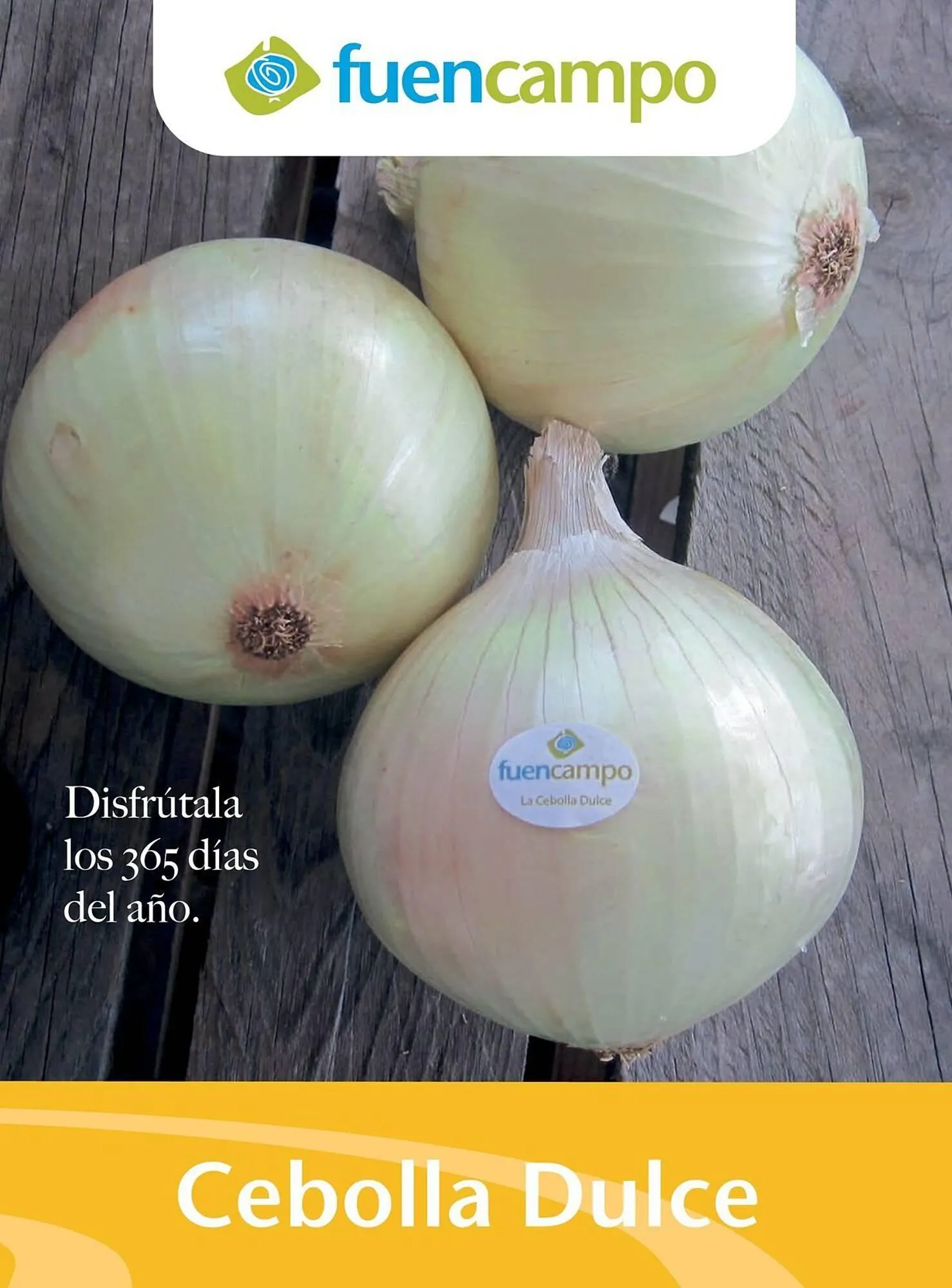 Catálogo de Catálogo Costco 6 de enero al 31 de marzo 2026 - Página 83