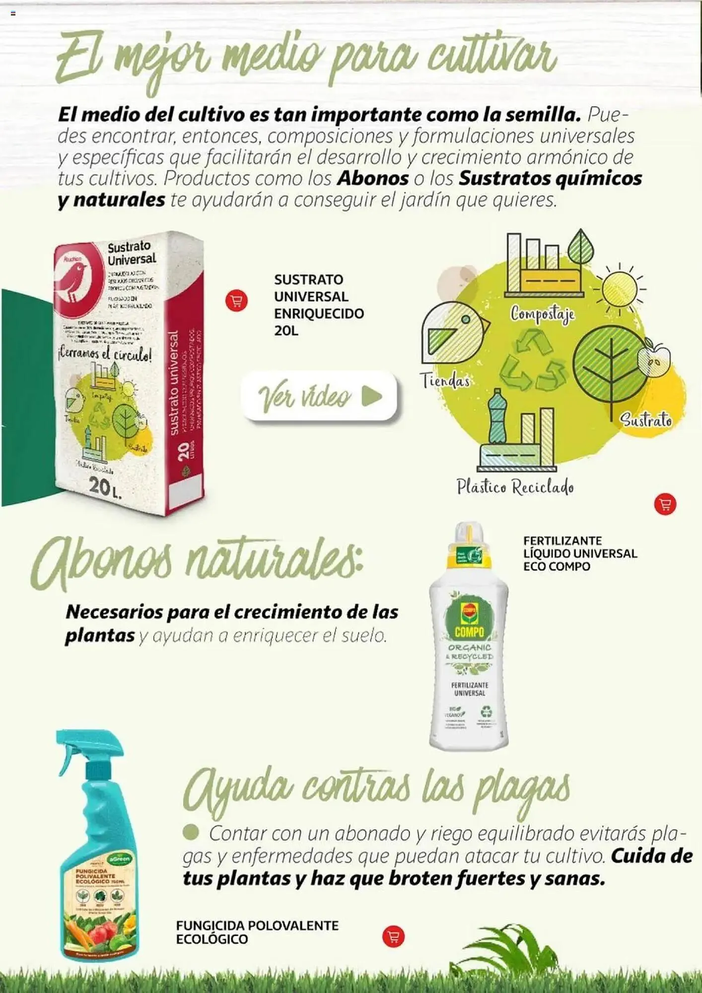 Catálogo de Folleto Alcampo 11 de febrero al 31 de diciembre 2025 - Página 6