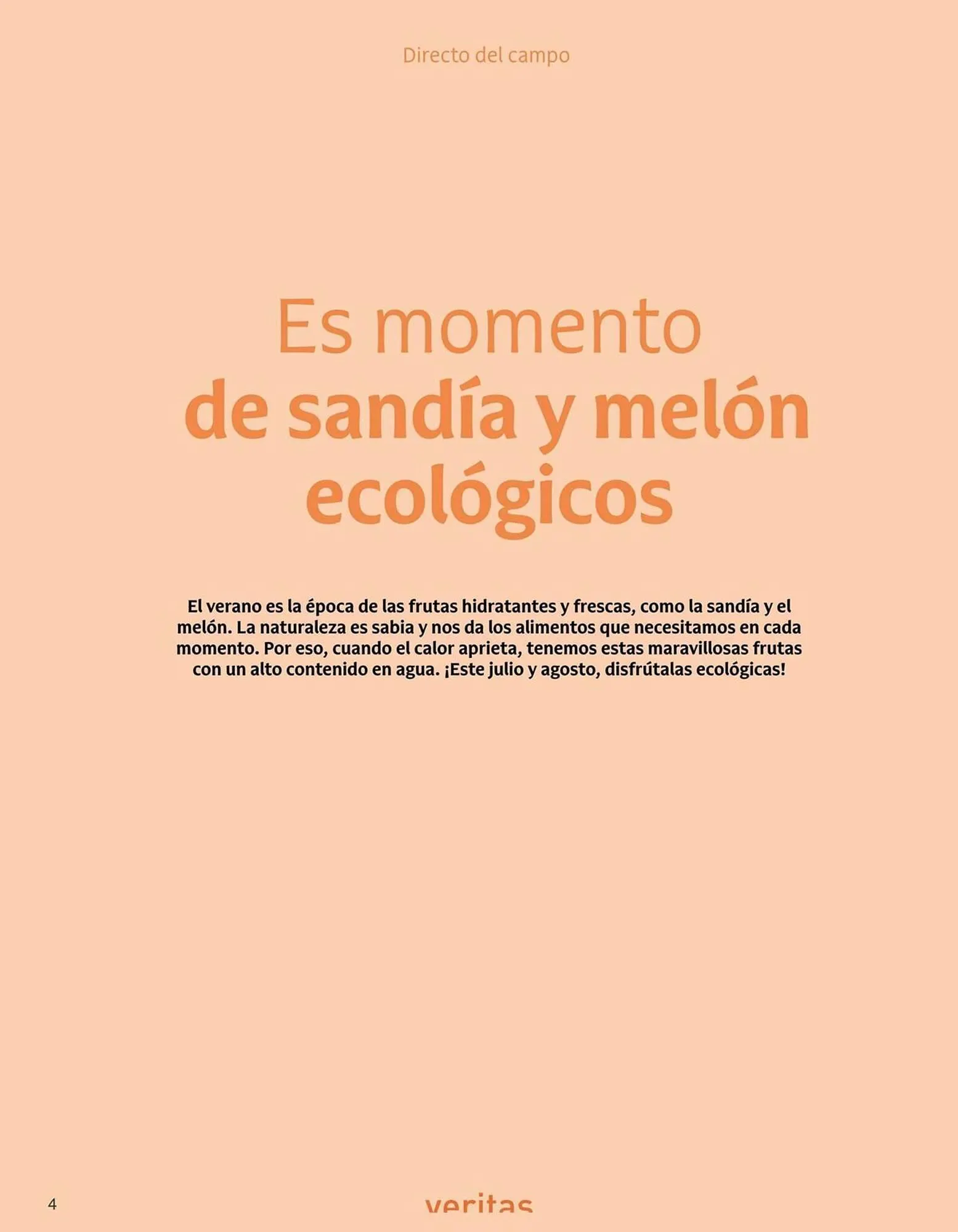 Catálogo de Folleto Veritas 1 de julio al 31 de agosto 2025 - Página 4