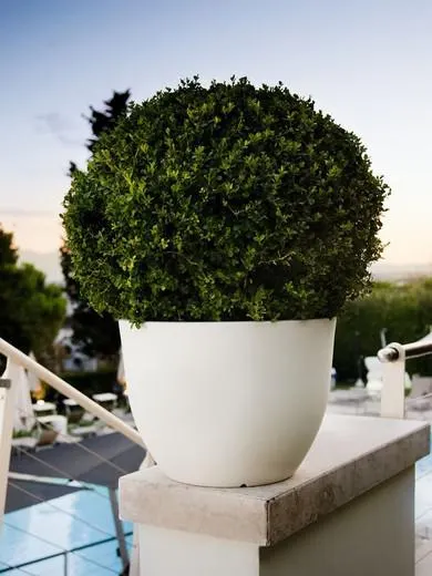 Jardinera Orione 30x22 cm