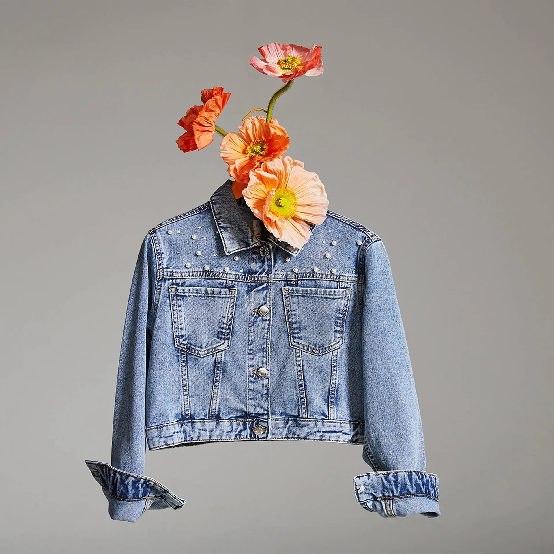 Catálogo de Folleto Terranova 7 de abril al 7 de junio 2025 - Página 3