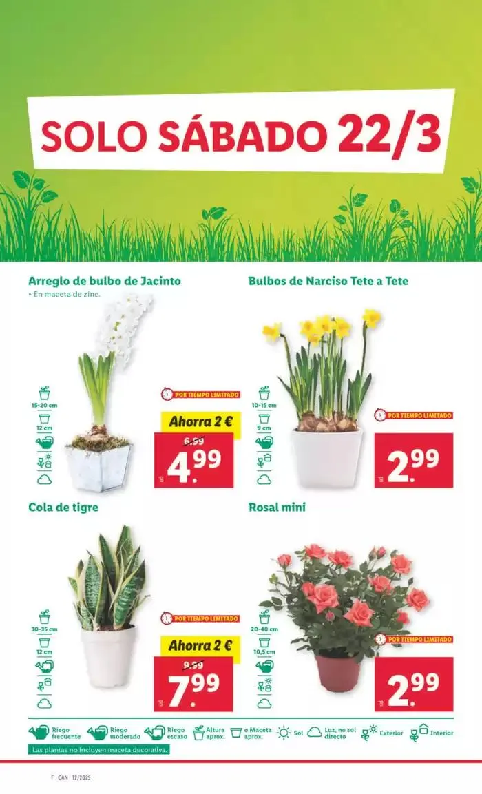 Catálogo de № 1 PRECIO - Ofertas válidas del 17/03 al 23/03 17 de marzo al 23 de marzo 2025 - Página 32