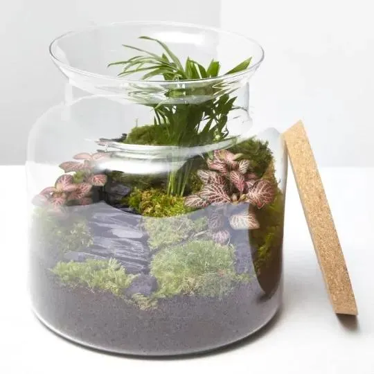 TERRARIO JUNGLE S D19 H20