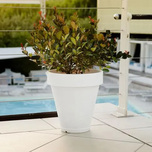 Tiesto vaso de resina Pegasus 40x37 cm