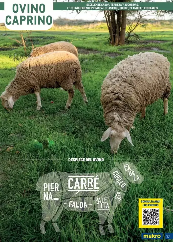 Catálogo de Especial Carnes Canarias 7 de abril al 4 de mayo 2025 - Página 33