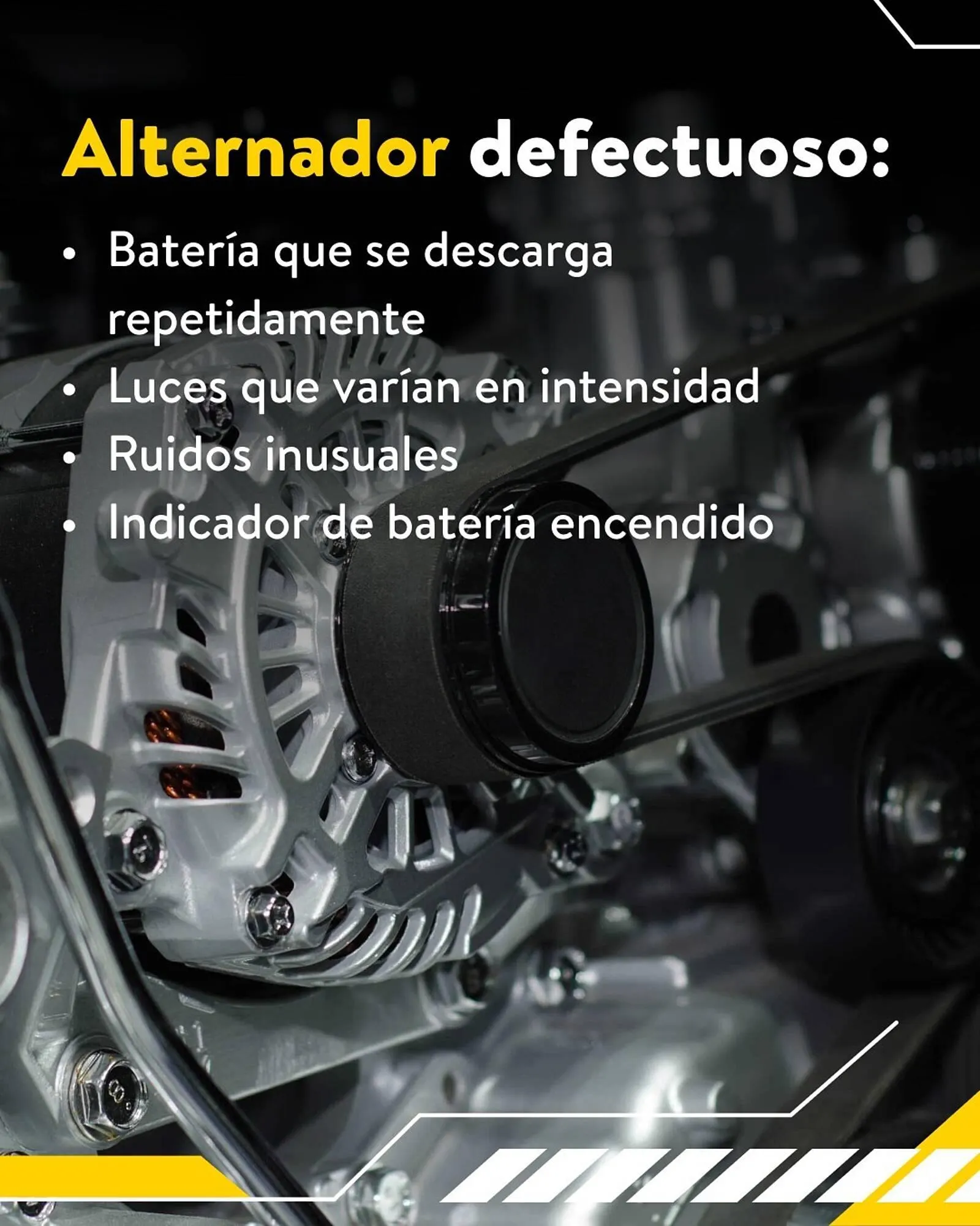 Catálogo de Folleto Rodi 26 de febrero al 4 de marzo 2026 - Página 3