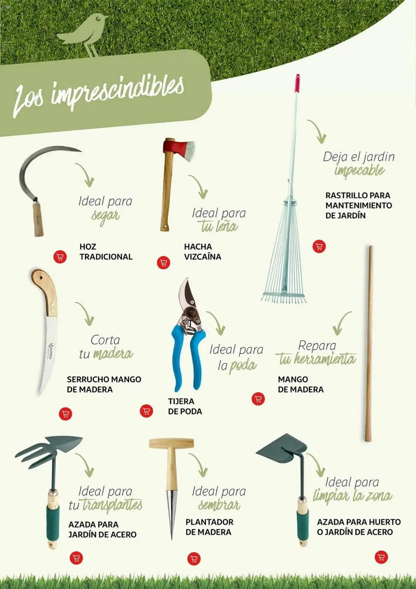 Catálogo de Folleto Alcampo 11 de febrero al 31 de diciembre 2025 - Página 5