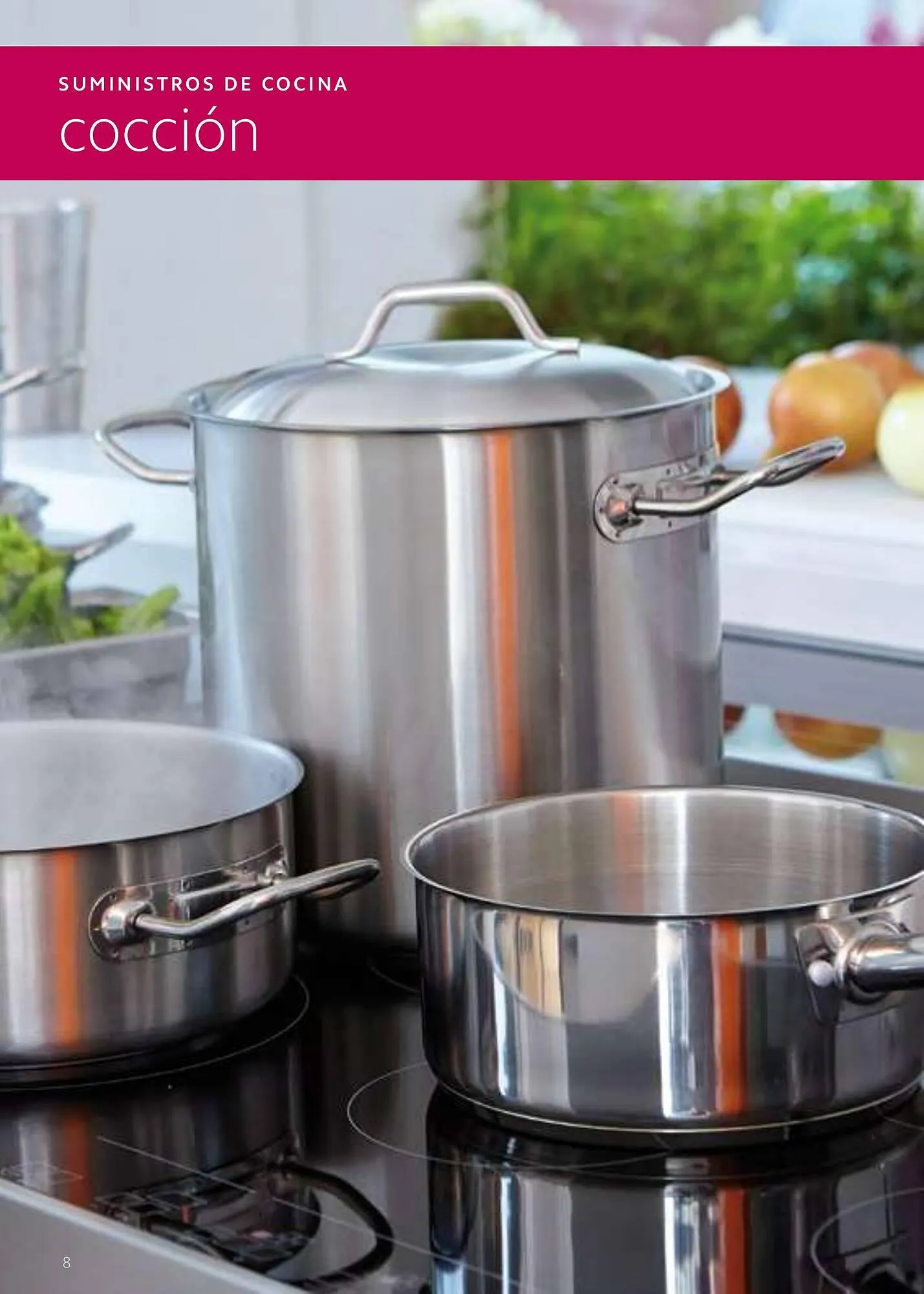 Catálogo de Folleto Makro 6 de enero al 1 de enero 2026 - Página 8