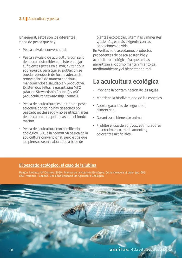 Catálogo de Veritas ABC productos ecológicos 2 de septiembre al 31 de diciembre 2024 - Página 20