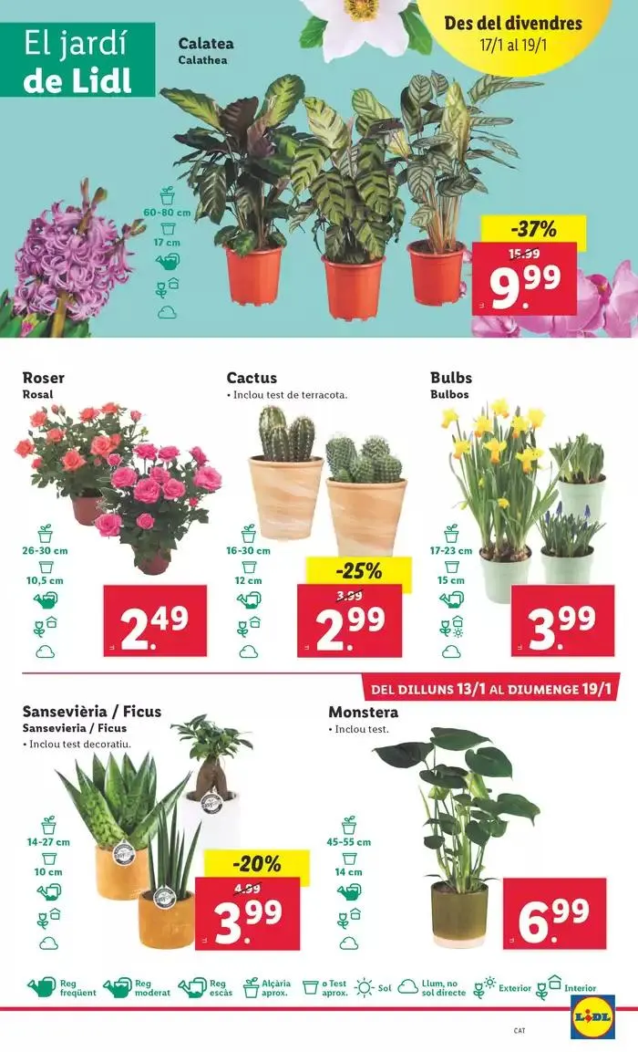 Catálogo de № 1 PRECIO - Ofertas válidas del 13/1 al 19/1 13 de enero al 19 de enero 2025 - Página 21