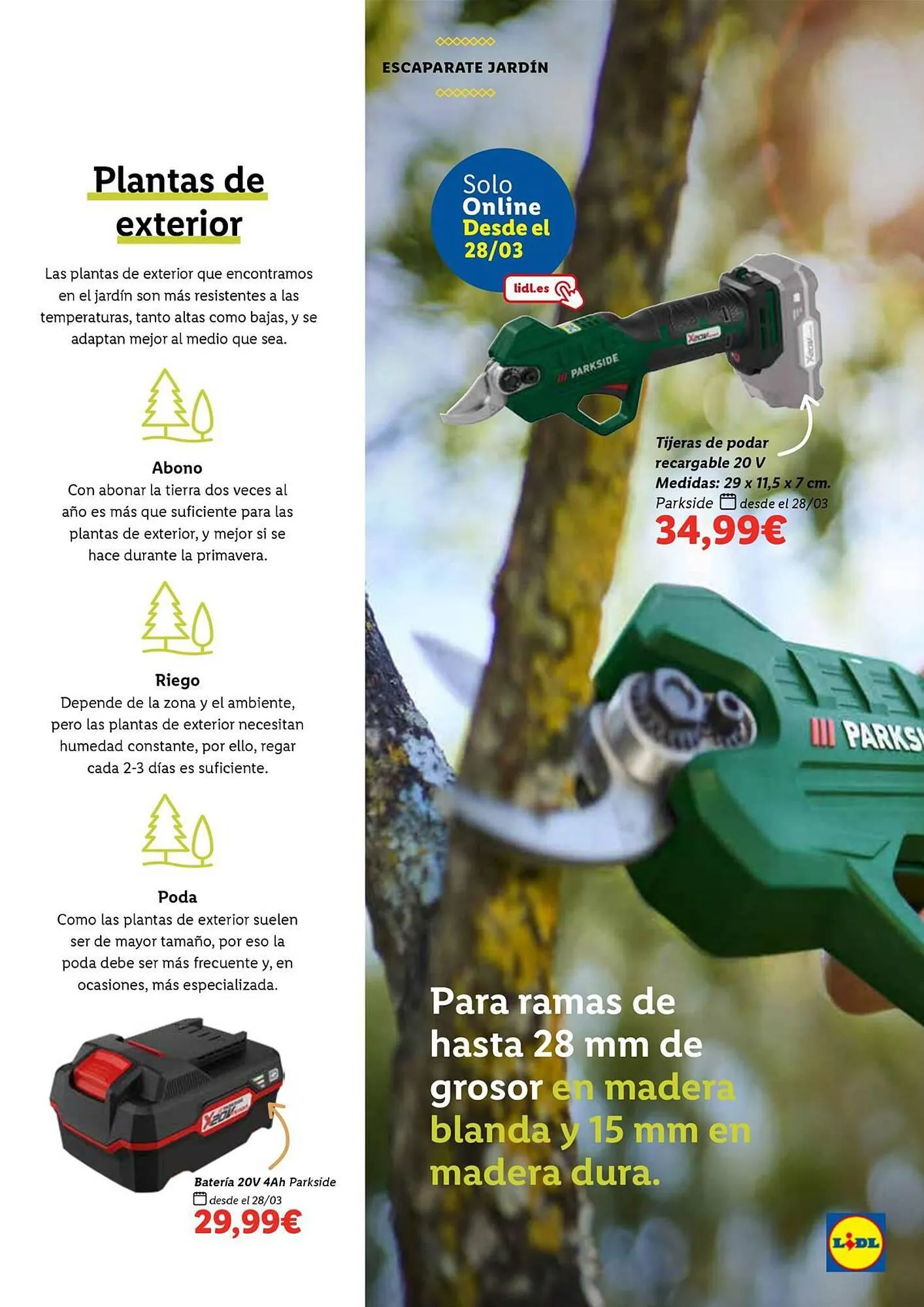 Catálogo de Folleto Lidl 5 de marzo al 1 de abril 2024 - Página 59