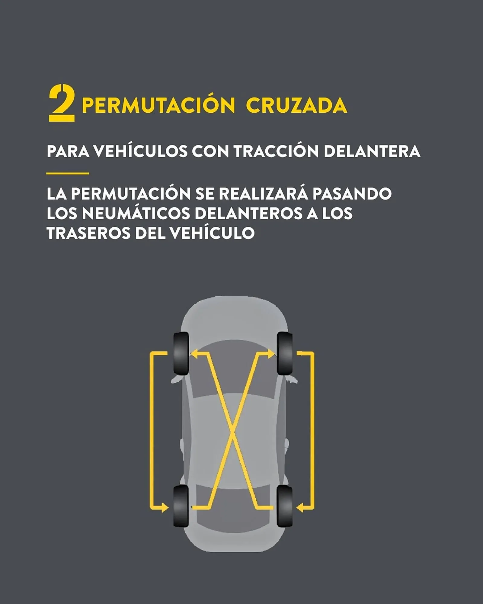 Catálogo de Folleto Rodi 6 de mayo al 19 de mayo 2025 - Página 3
