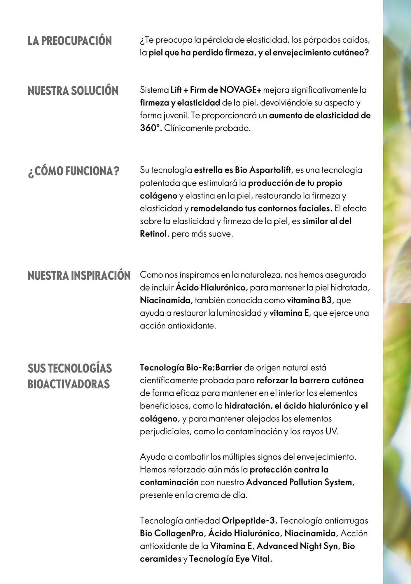 Catálogo de Catálogo Oriflame 10 de septiembre al 31 de diciembre 2025 - Página 15