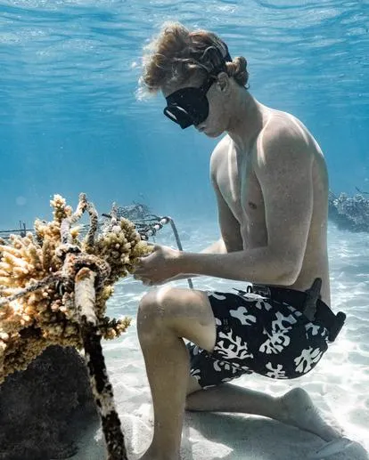 Horizon Pro 19" - Boardshorts para Hombre