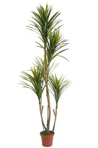 Yuca artificial 185 cm