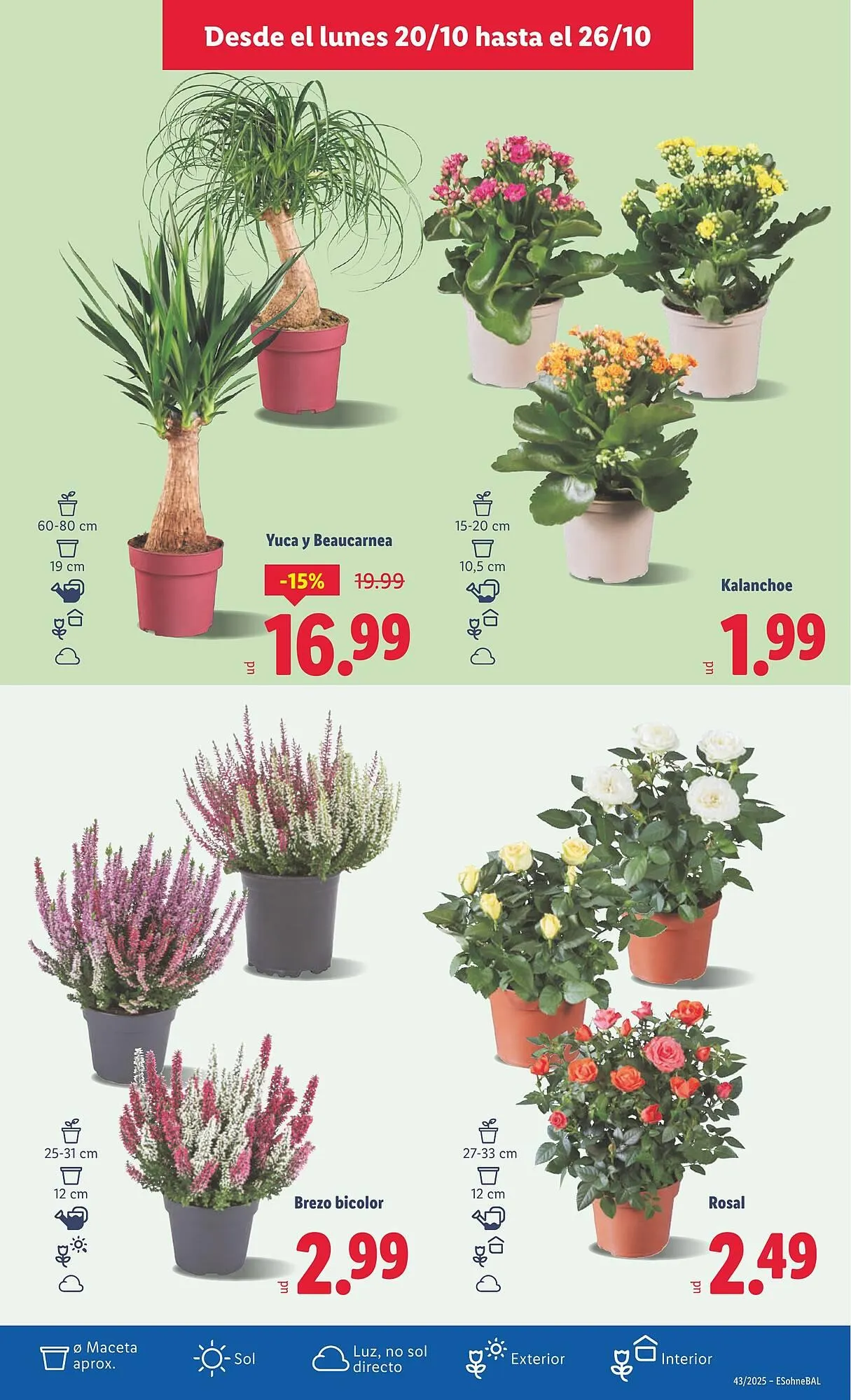 Catálogo de Catálogo Lidl 20 de octubre al 26 de octubre 2025 - Página 41