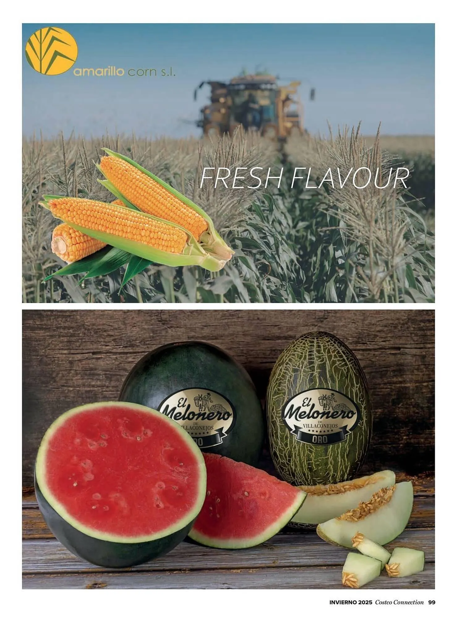 Catálogo de Catálogo Costco 6 de enero al 31 de marzo 2026 - Página 99