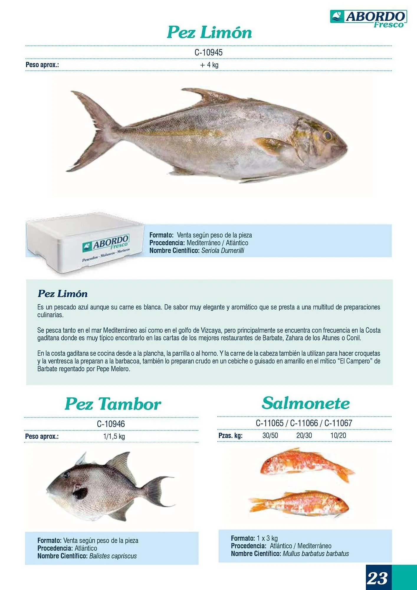 Catálogo de Folleto Abordo 5 de marzo al 30 de junio 2026 - Página 23