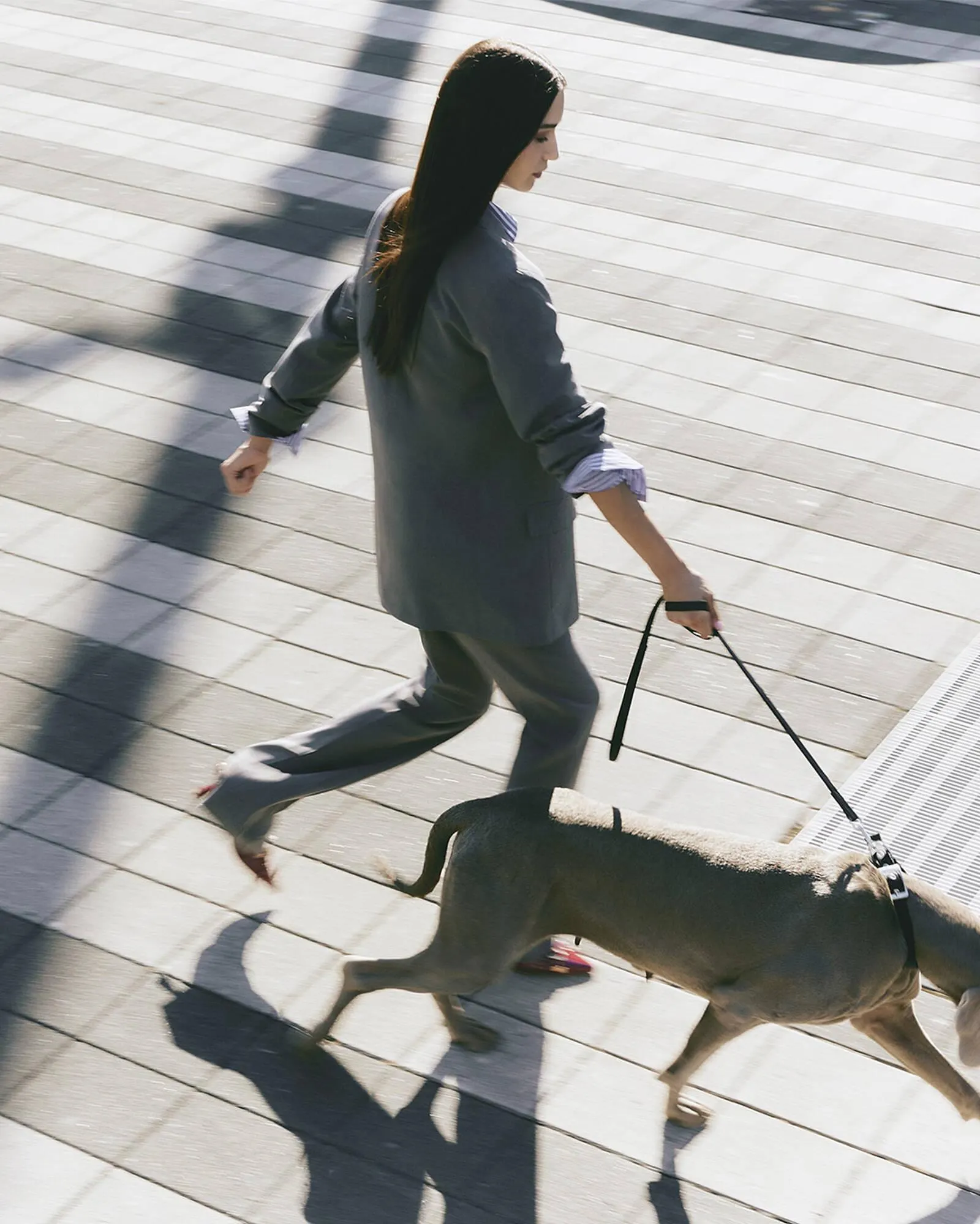 Catálogo de Folleto Terranova 11 de septiembre al 8 de noviembre 2025 - Página 2