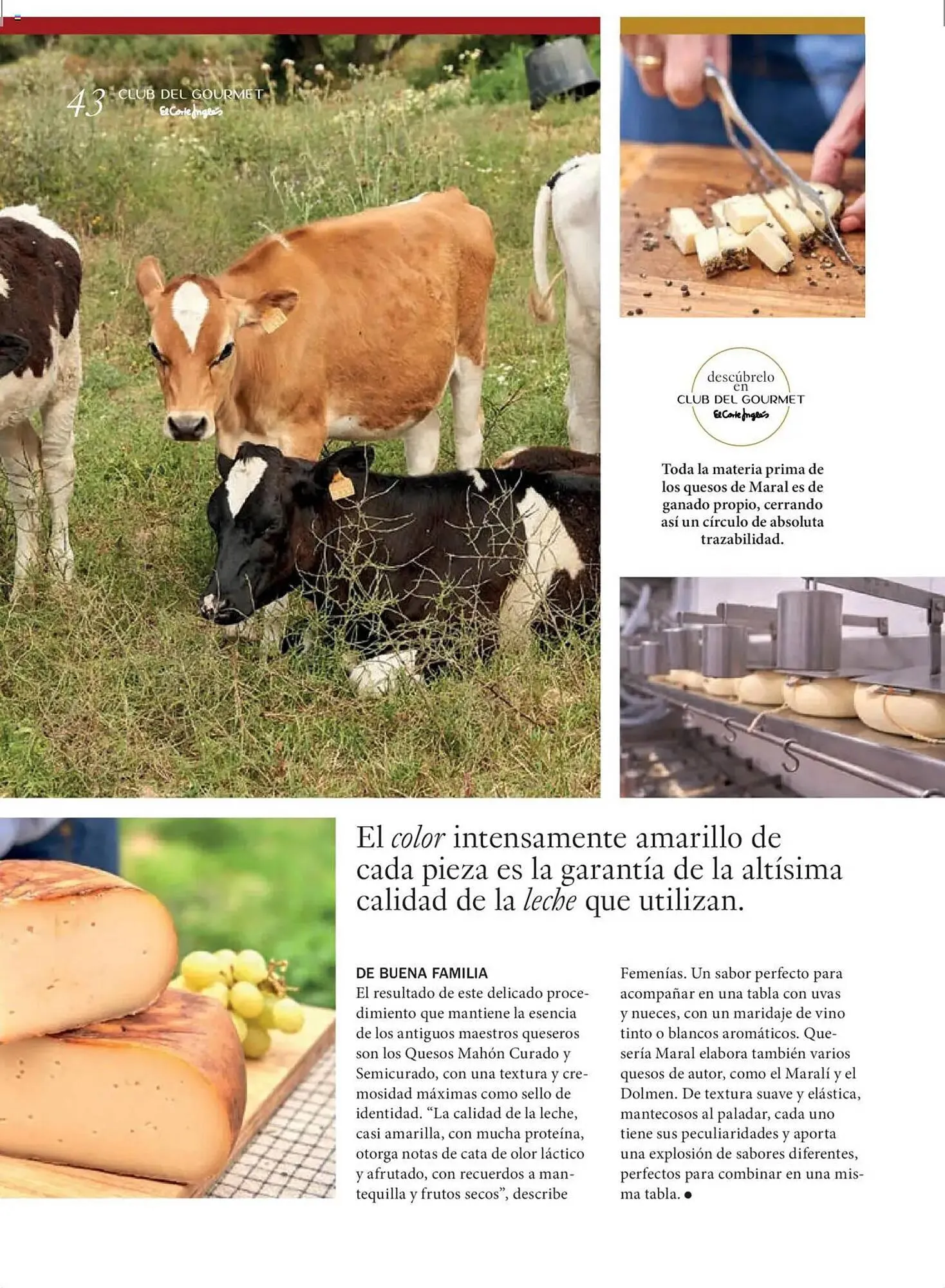 Catálogo de Folleto El Corte Inglés 27 de junio al 31 de agosto 2025 - Página 43