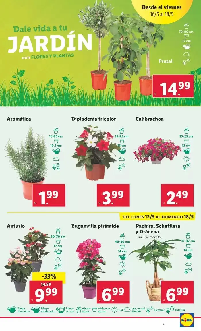 Catálogo de  ¡Bazar Lidl! Ofertas válidas del 12/05 al 18/05 12 de mayo al 18 de mayo 2025 - Página 13