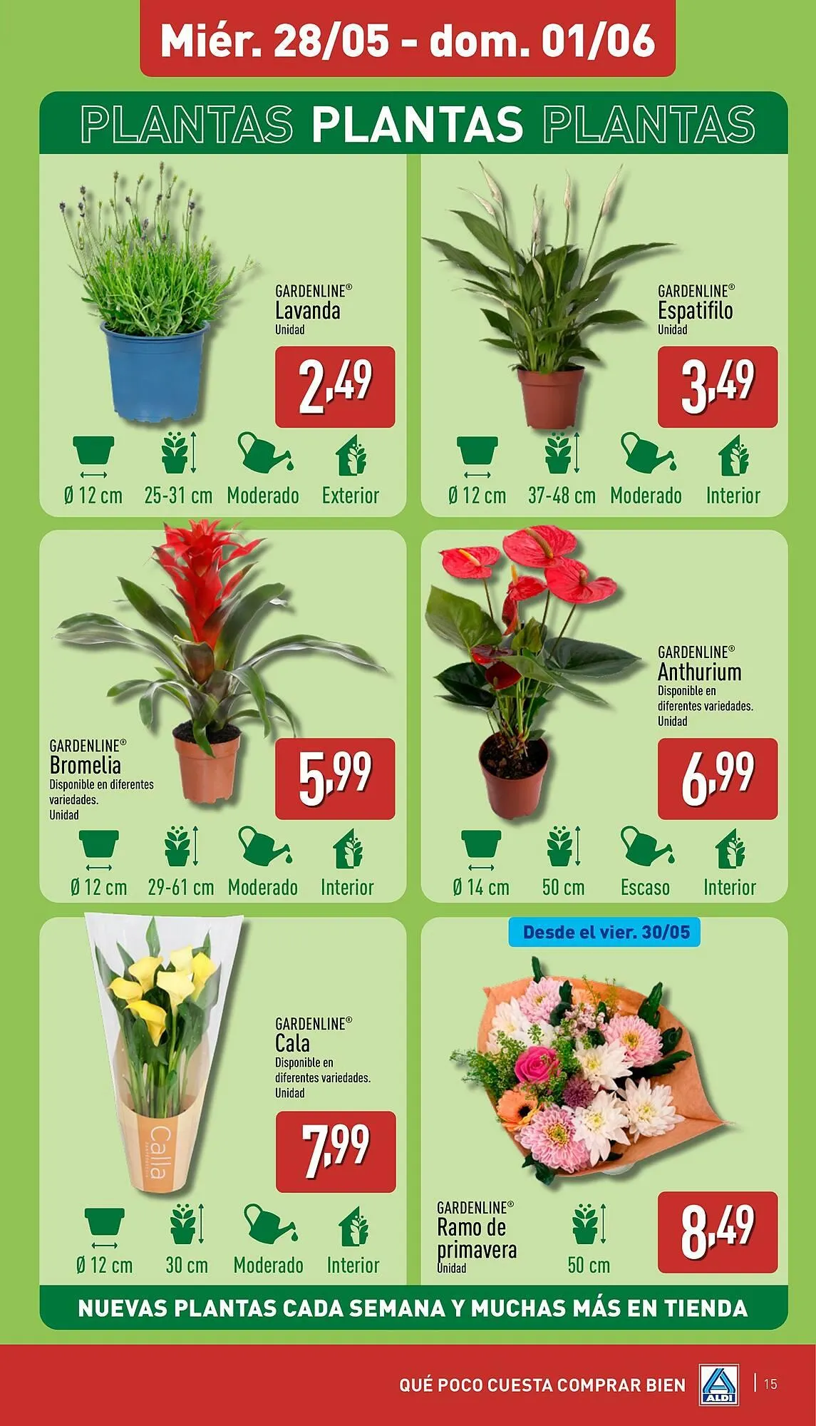 Catálogo de Folleto ALDI 26 de mayo al 1 de junio 2025 - Página 15