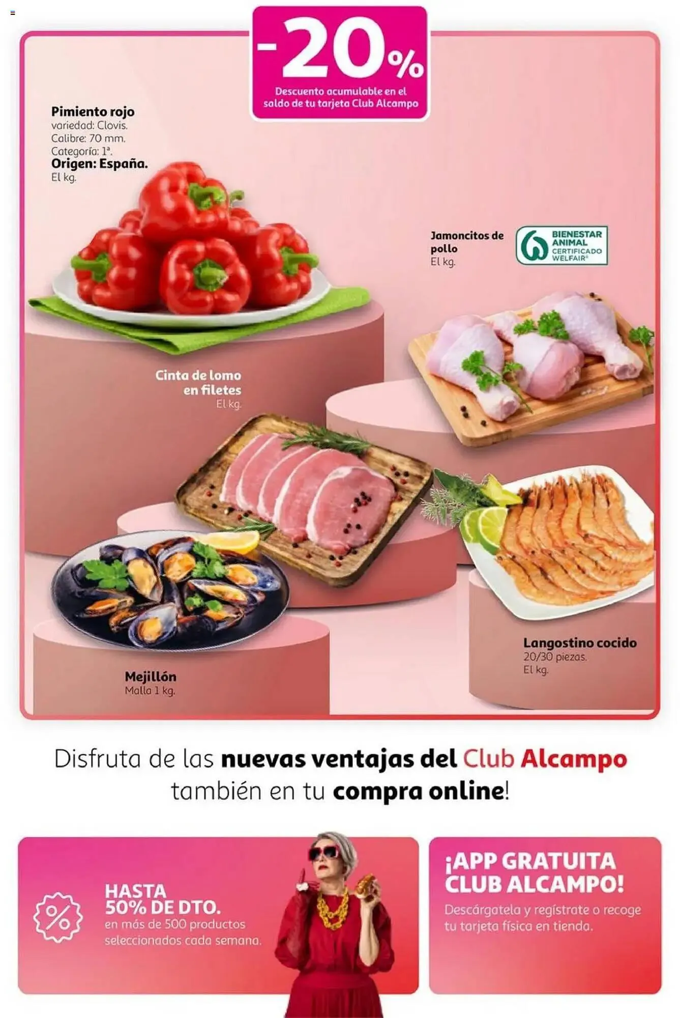 Catálogo de Folleto Alcampo 9 de octubre al 22 de octubre 2025 - Página 11