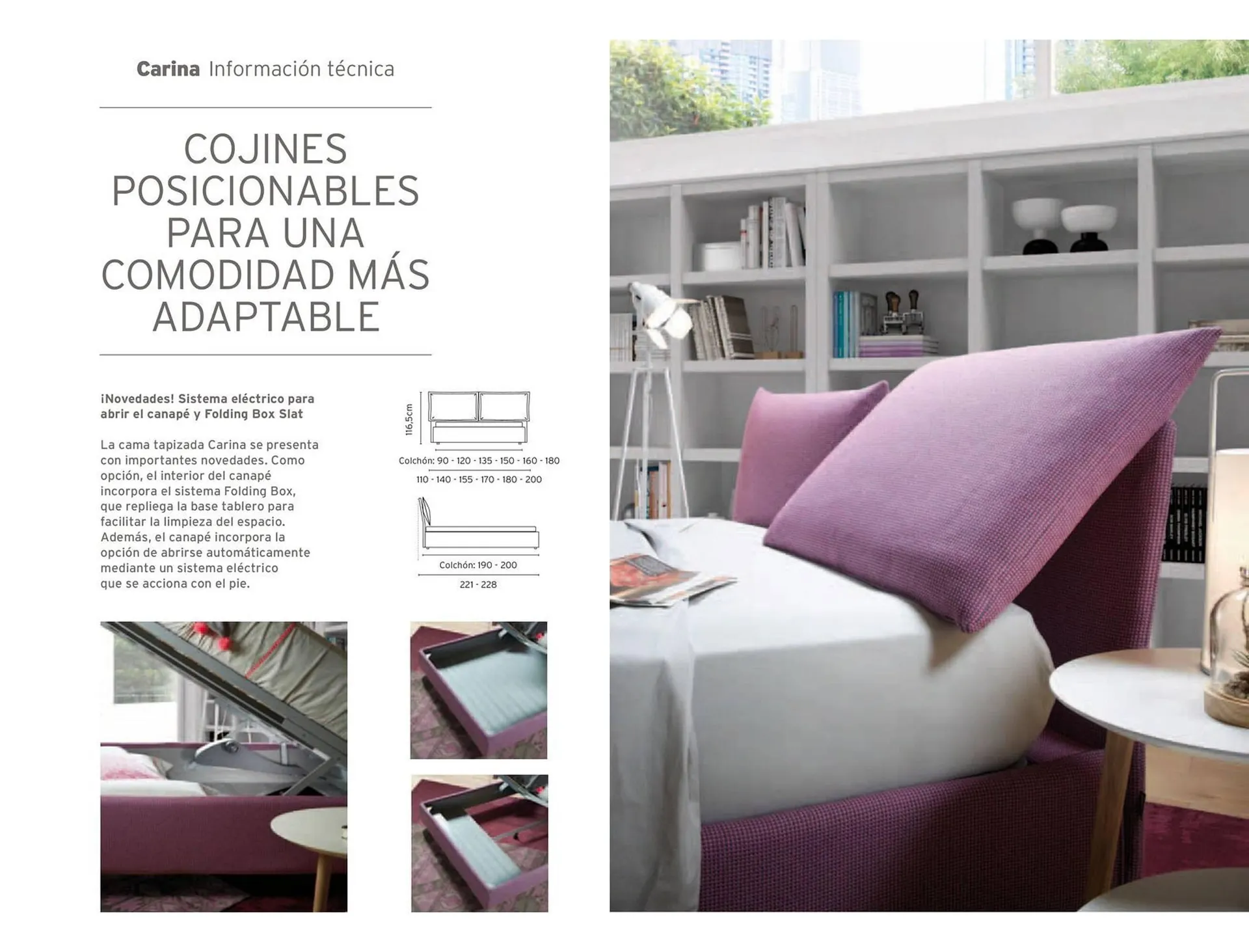 Catálogo de Catálogo Kibuc 5 de enero al 31 de diciembre 2026 - Página 3