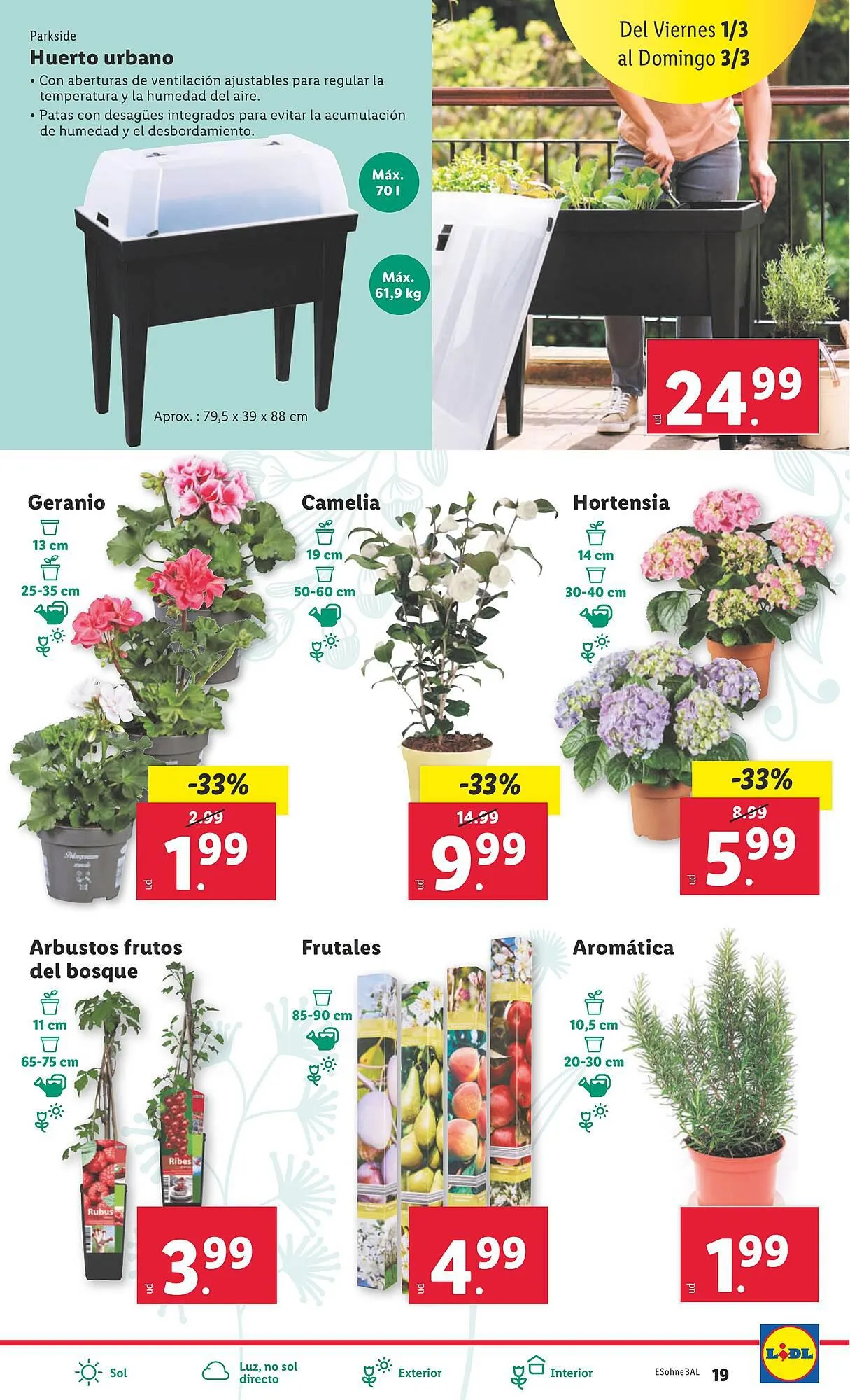 Catálogo de Folleto Lidl 26 de febrero al 3 de marzo 2024 - Página 19