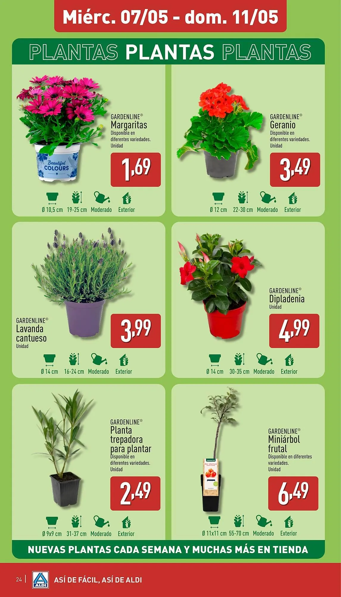 Catálogo de Folleto ALDI 5 de mayo al 11 de mayo 2025 - Página 24