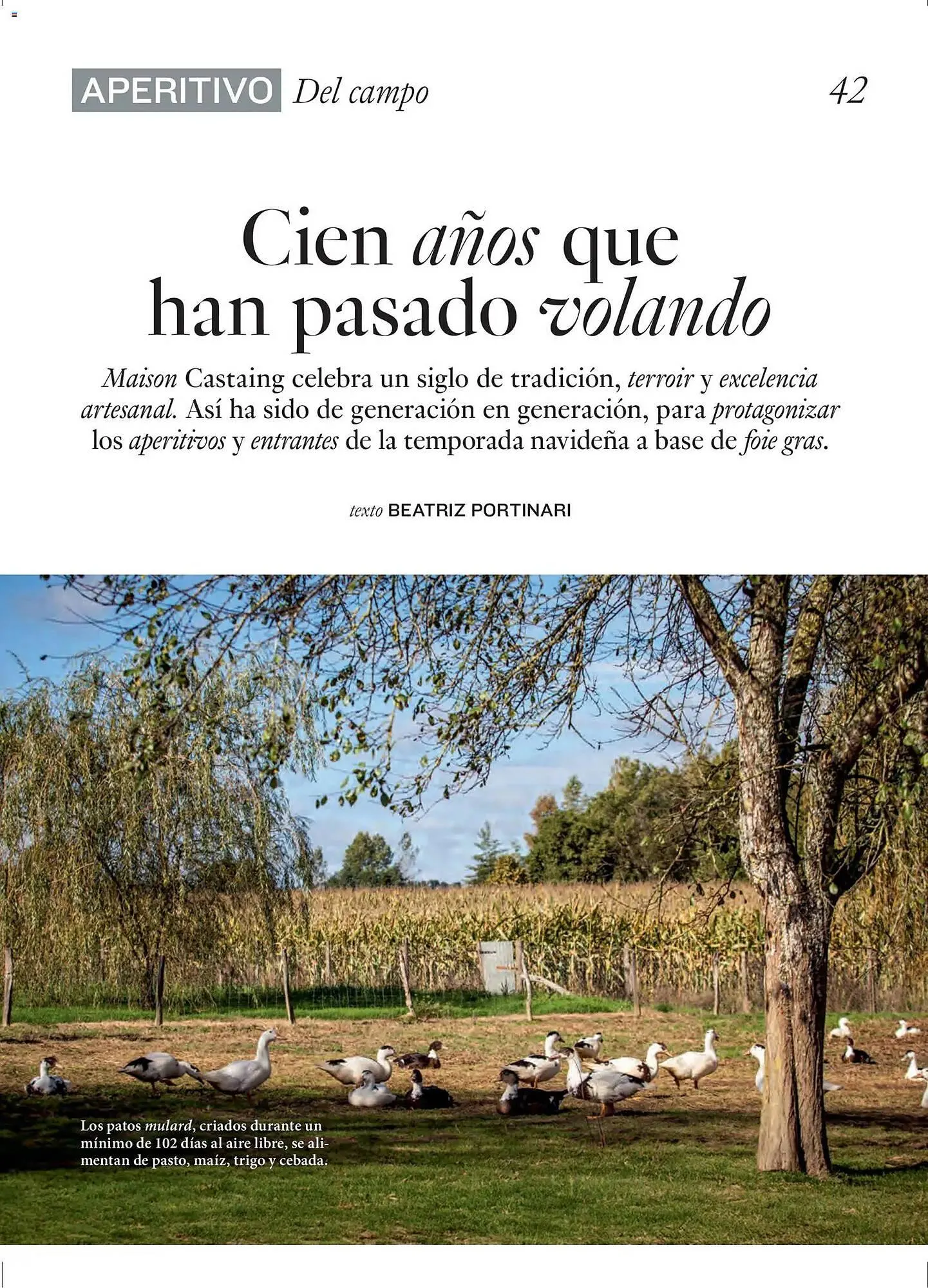 Catálogo de Catálogo El Corte Inglés 11 de diciembre al 31 de marzo 2026 - Página 42