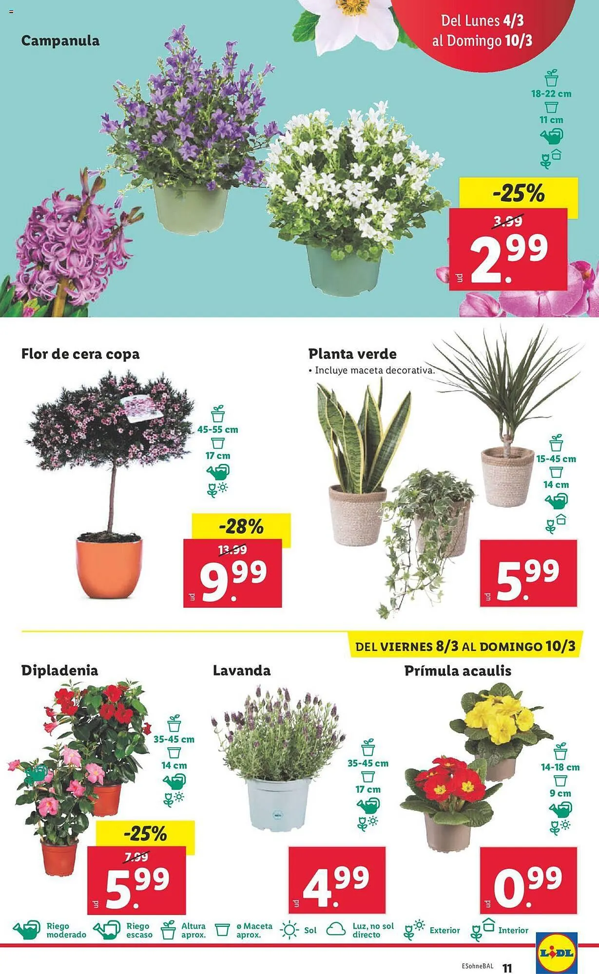 Catálogo de Folleto Lidl 4 de marzo al 10 de marzo 2024 - Página 11