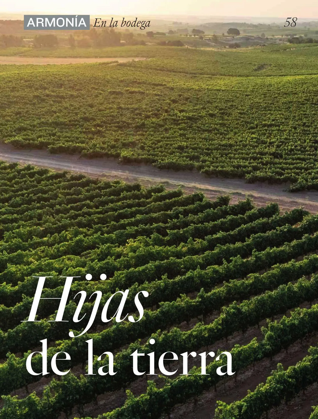 Catálogo de El Corte Inglés Oferta actual 4 de junio al 18 de junio 2025 - Página 58